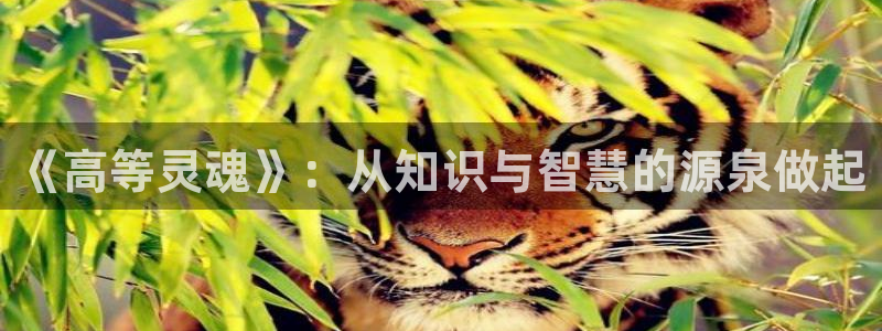 我不是教主包子漫画