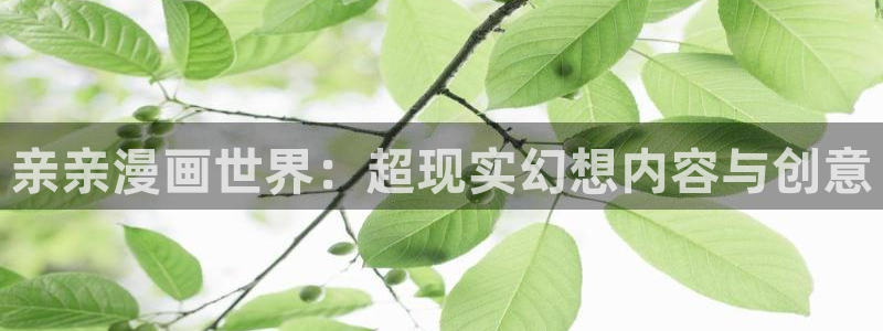 包子漫画页面在线看漫画