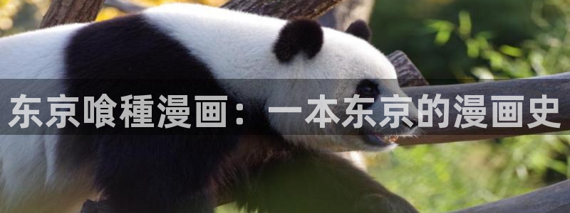包子漫画正版官网